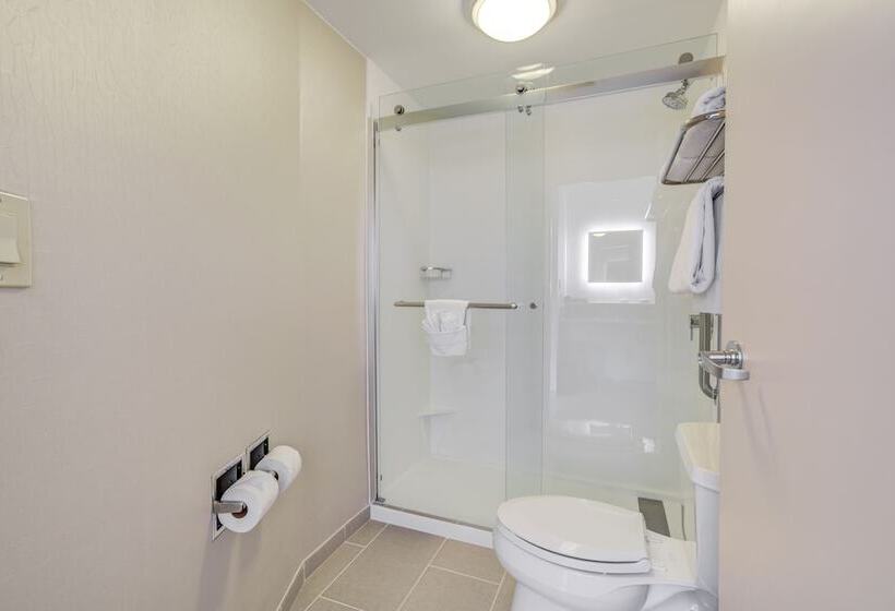 جناح, Springhill Suites Gainesville