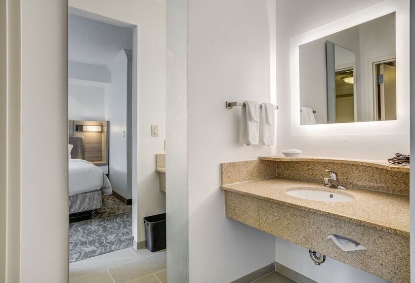 Люкс, Springhill Suites Gainesville