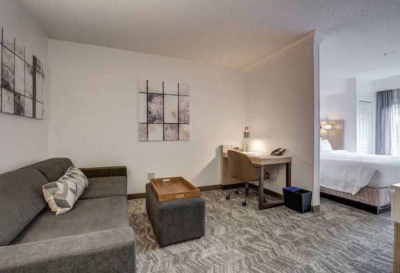جناح, Springhill Suites Gainesville