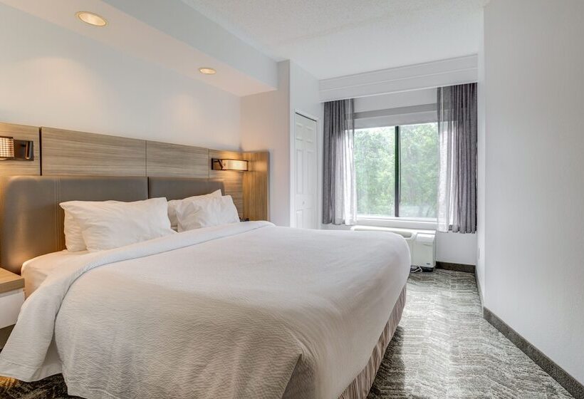 Люкс, Springhill Suites Gainesville