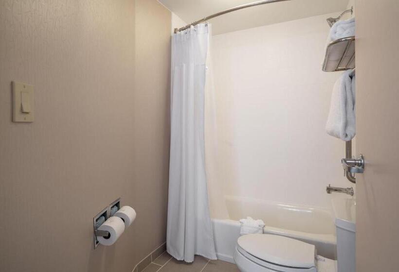 جناح سرير كينج, Springhill Suites Gainesville