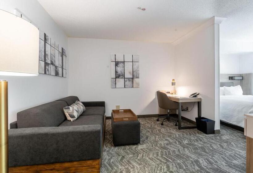 جناح سرير كينج, Springhill Suites Gainesville