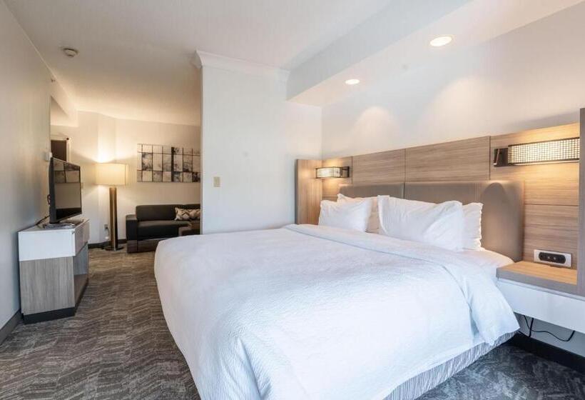 Люкс Кровать Кинг, Springhill Suites Gainesville