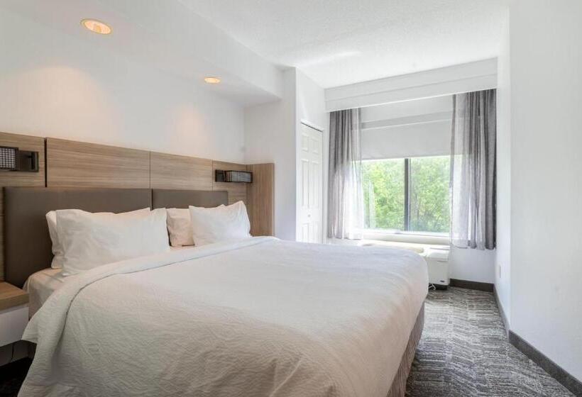 جناح سرير كينج, Springhill Suites Gainesville