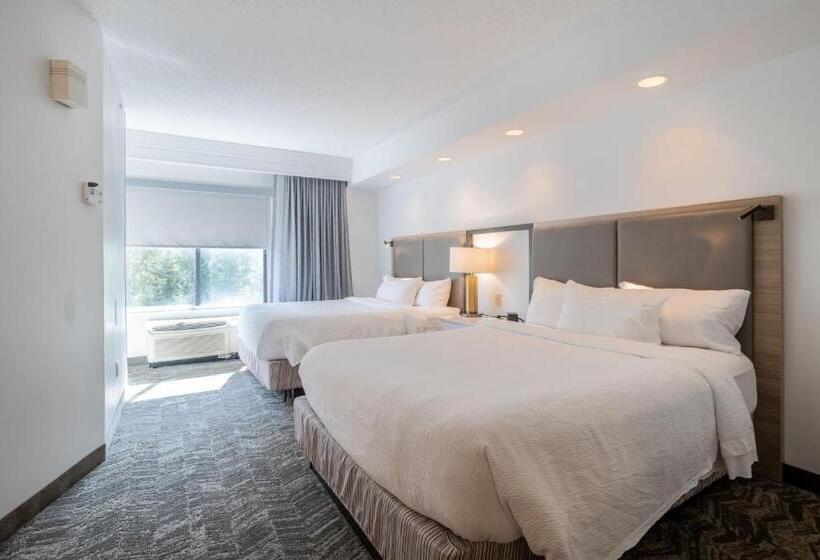 جناح, Springhill Suites Gainesville