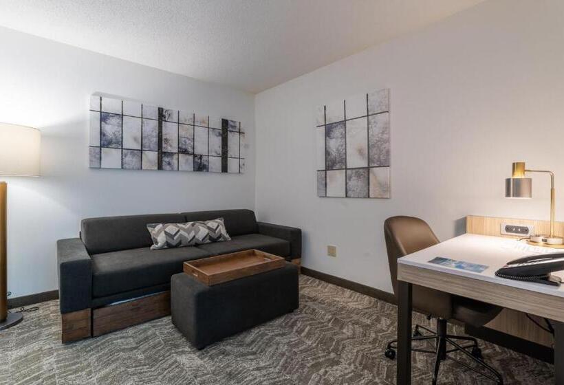 Люкс, Springhill Suites Gainesville