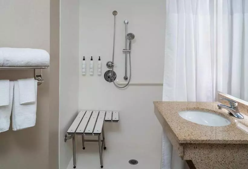 キングサイズベッドのスイートルーム, Springhill Suites Gainesville