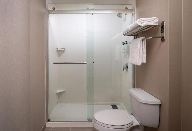 Люкс Кровать Кинг, Springhill Suites Gainesville