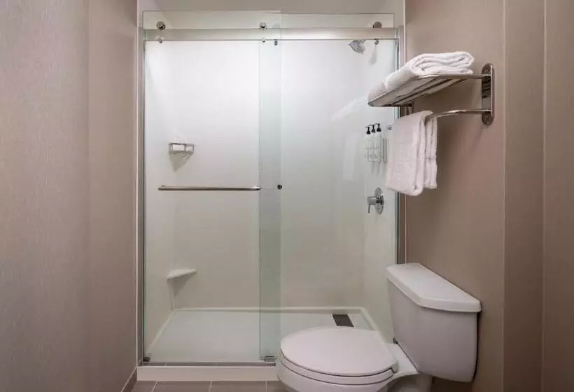 キングサイズベッドのスイートルーム, Springhill Suites Gainesville