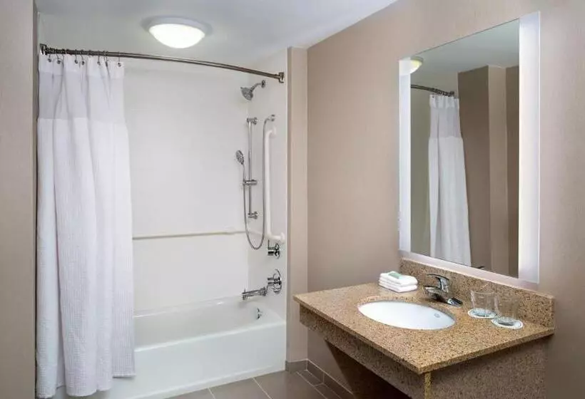 キングサイズベッドのスイートルーム, Springhill Suites Gainesville