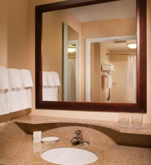 キングサイズベッドのスイートルーム, Springhill Suites Gainesville