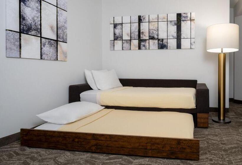 جناح سرير كينج, Springhill Suites Gainesville
