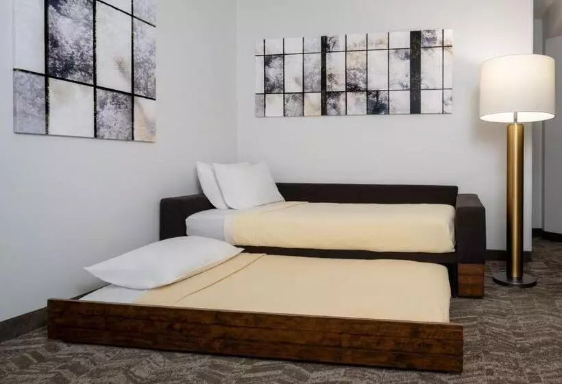 キングサイズベッドのスイートルーム, Springhill Suites Gainesville