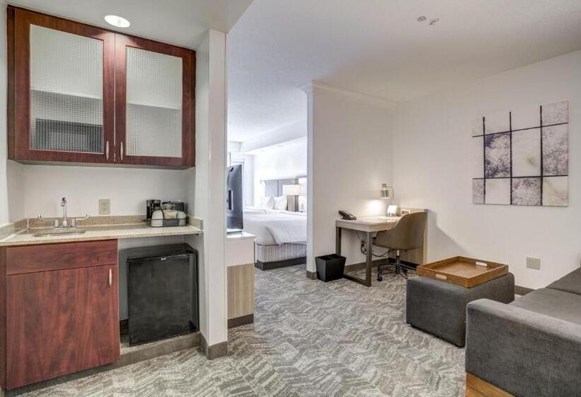 Люкс Кровать Кинг, Springhill Suites Gainesville