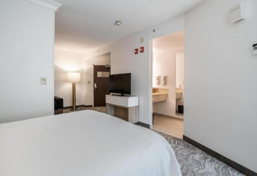 Люкс Кровать Кинг, Springhill Suites Gainesville