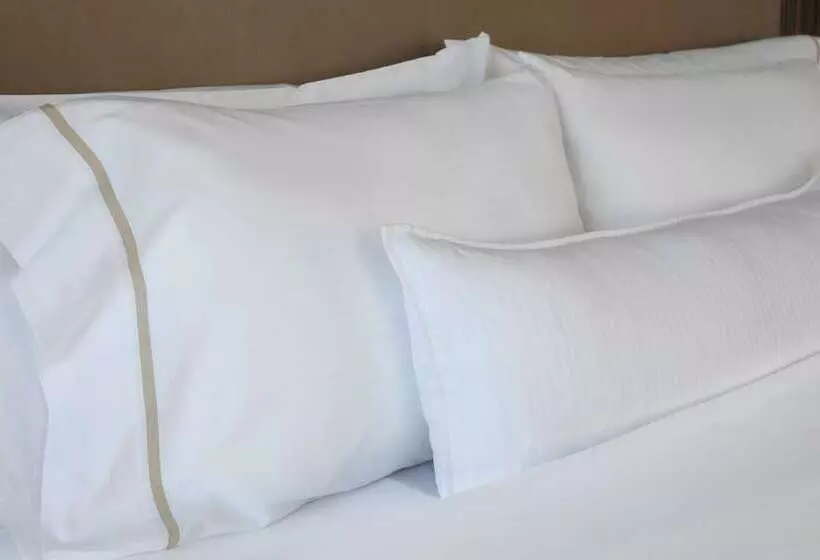 اتاق پرمیوم, The Westin Guadalajara