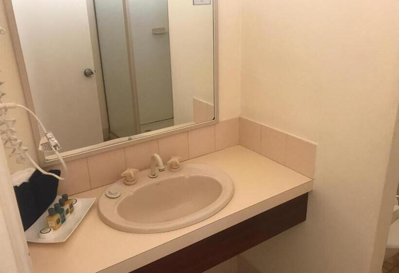 스탠다드 룸, Karri Forest Motel