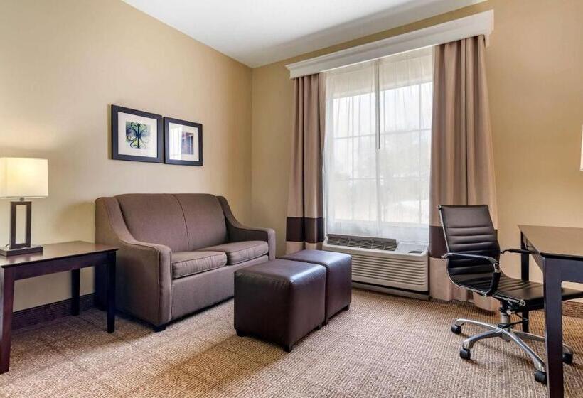 Люкс Кровать Кинг, Comfort Inn & Suites Scott West Lafayette