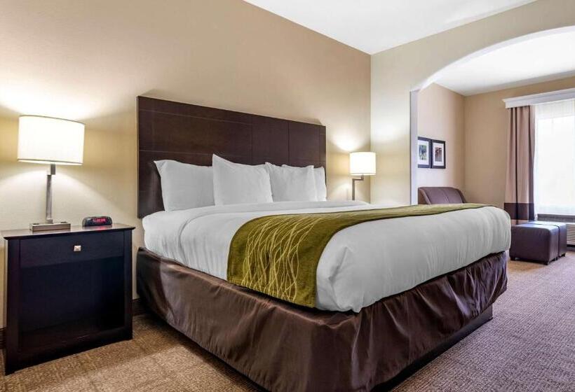 سوئیت با تخت بزرگ, Comfort Inn & Suites Scott West Lafayette