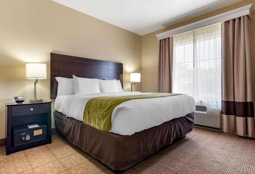 Люкс Superior, Comfort Inn & Suites Scott West Lafayette