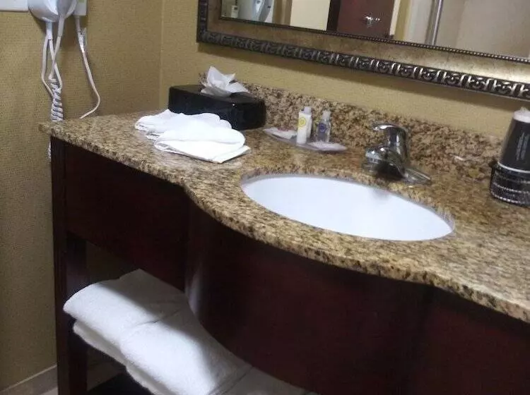 スイート, Comfort Suites Palm Bay  Melbourne