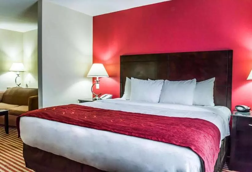キングサイズベッドのスイートルーム, Comfort Suites Palm Bay  Melbourne