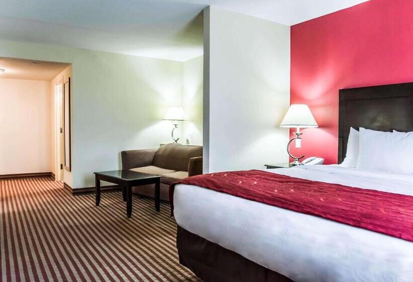 스위트 킹사이즈 침대, Comfort Suites Palm Bay  Melbourne