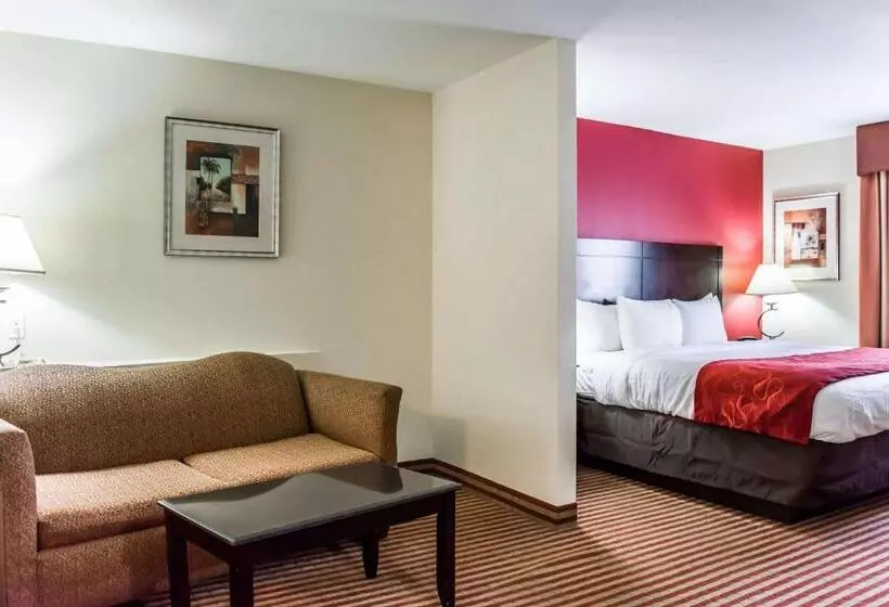キングサイズベッドのスイートルーム, Comfort Suites Palm Bay  Melbourne