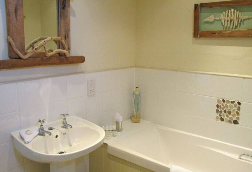Quarto Estandar, Driftwood