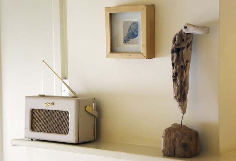 Quarto Basic, Driftwood