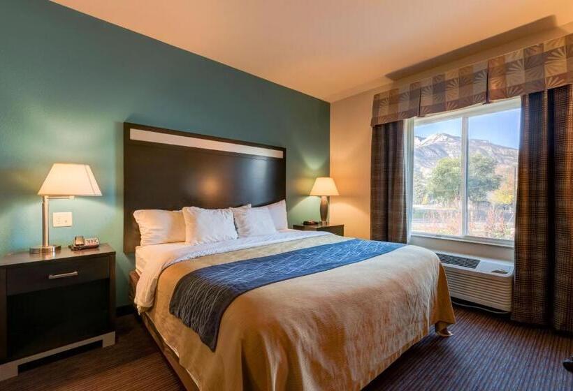 جناح سرير كينج, Grand Vista Hotel Parachute