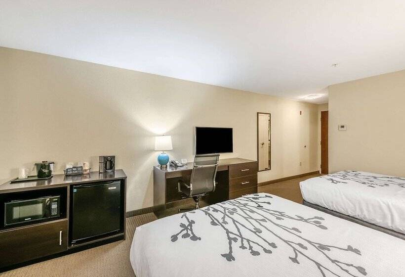 带2个双人床的标准工作室, Sleep Inn & Suites Ruston Near University