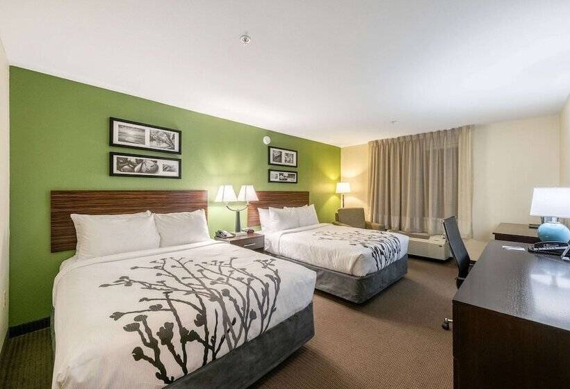 带2个双人床的标准工作室, Sleep Inn & Suites Ruston Near University