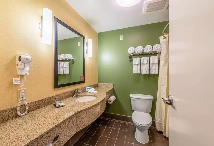 スイート, Sleep Inn & Suites Ruston Near University
