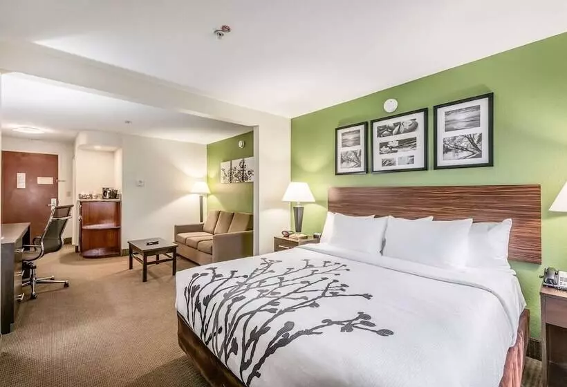 スイート, Sleep Inn & Suites Ruston Near University