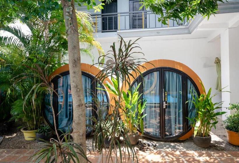 اتاق اکونومی, White Rabbit Hostel