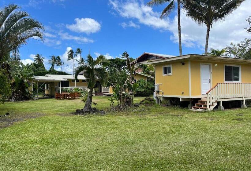 بنجلو ديلوكس, Aaron’s Cottage