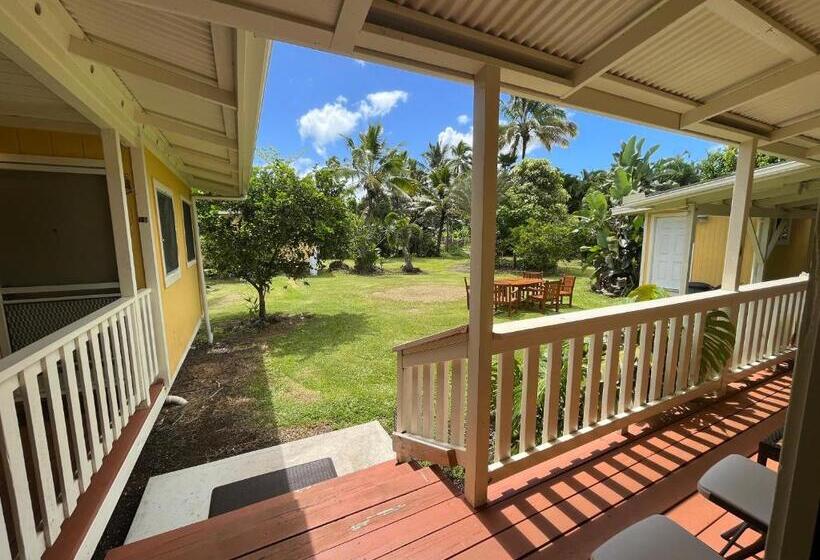 غرفة قياسية, Aaron’s Cottage