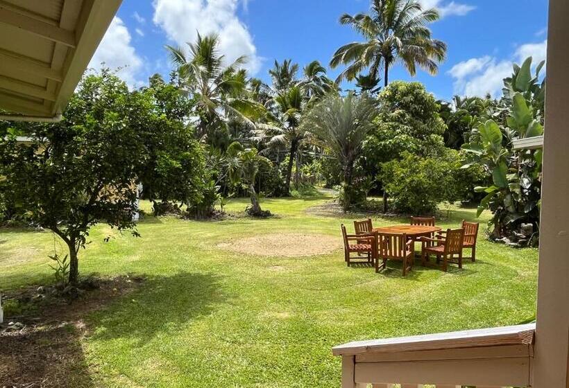 غرفة قياسية, Aaron’s Cottage