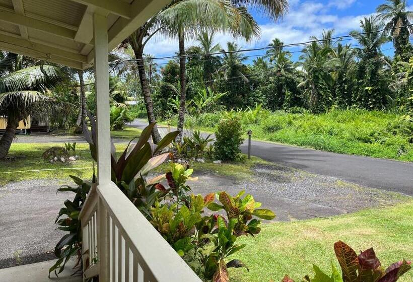 غرفة قياسية, Aaron’s Cottage