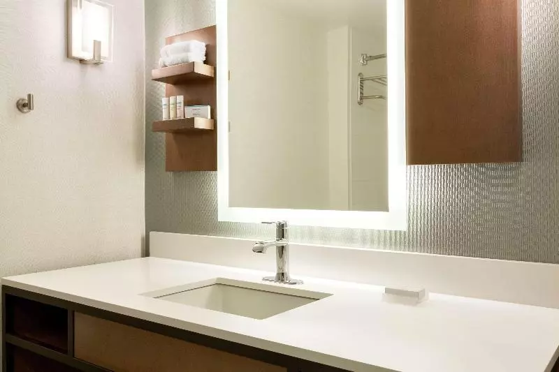 キングサイズベッドのジュニアスイート, Hilton Garden Inn Tifton