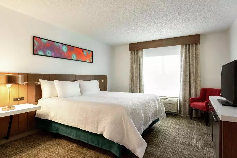 キングサイズベッドのスタンダードルーム, Hilton Garden Inn Tifton