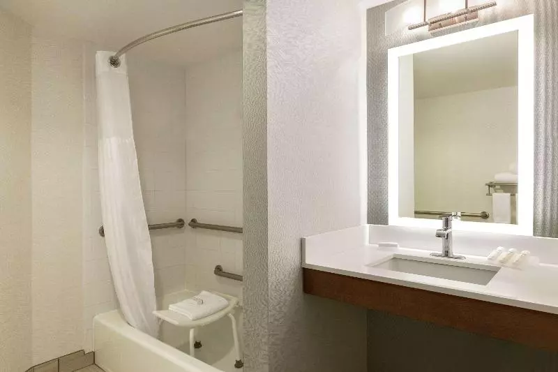 キングサイズベッドのスタンダードルーム, Hilton Garden Inn Tifton