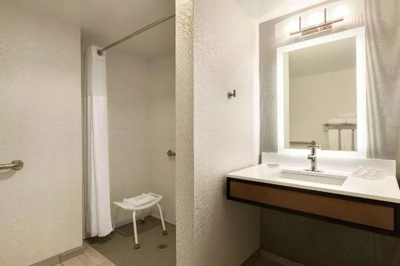 キングサイズベッドのスタンダードルーム, Hilton Garden Inn Tifton