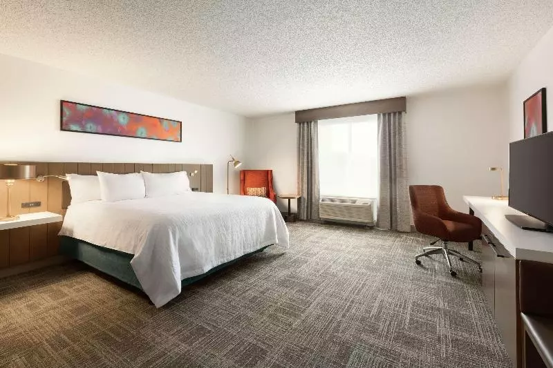 キングサイズベッドのスタンダードルーム, Hilton Garden Inn Tifton