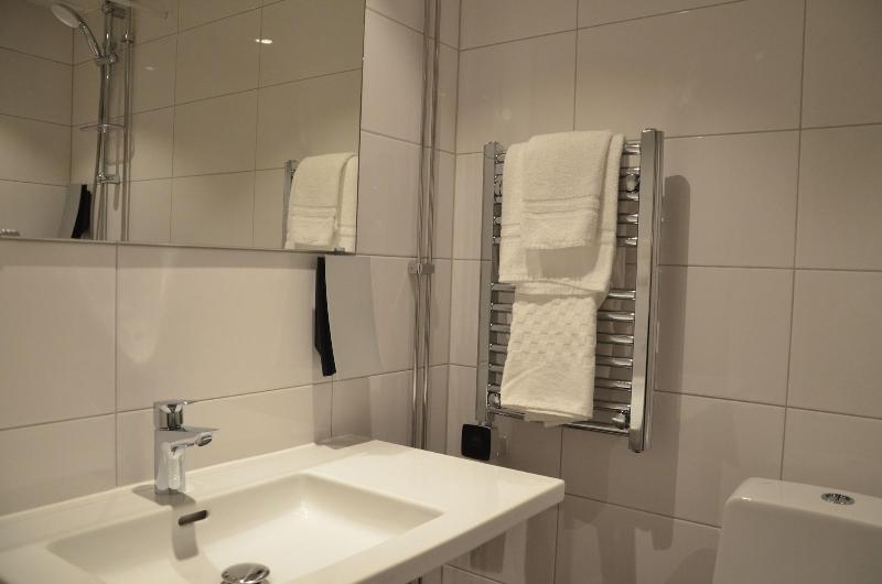 Полулюкс Кровать Кинг, Hilton Garden Inn Tifton