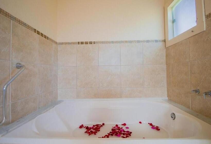Номер Deluxe с Гидромассажем, Pousada Villa Allegra