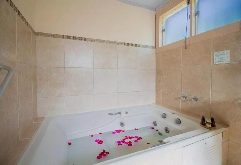 バスタブ付きデラックスルーム, Pousada Villa Allegra