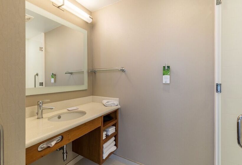 סוויטה מותאמת לאדם עם מוגבלויות, Springhill Suites By Marriott Houston Rosenberg