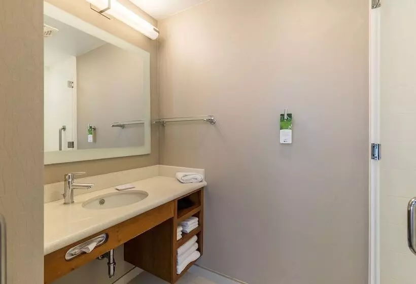 Sviitti Liikuntarajoitteisille, Springhill Suites By Marriott Houston Rosenberg